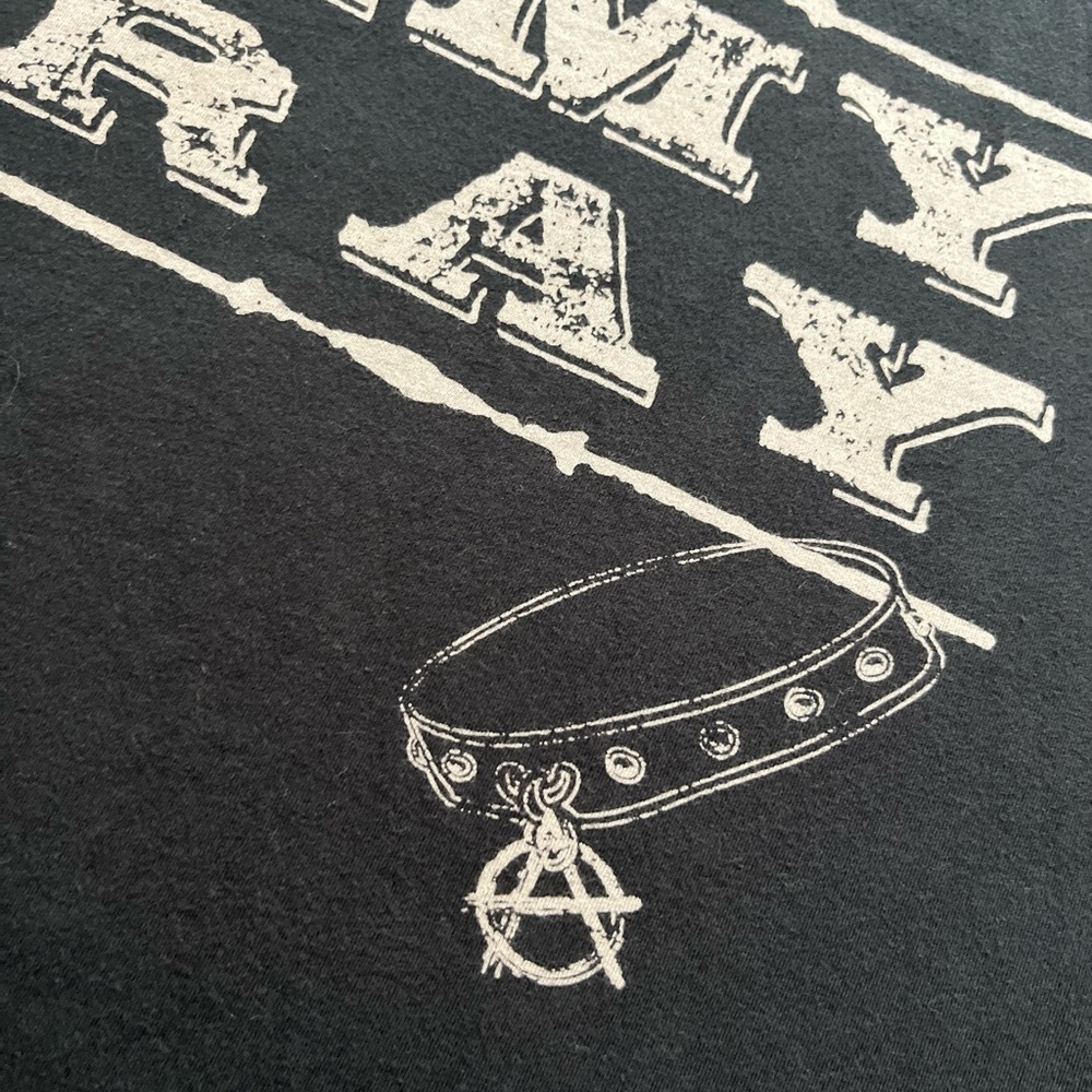 🎸 '15 Amy Ray Solo Artist Tour Tender Hour Dog Live In Seattle Album IG Soft Tee - Picture 13 of 13